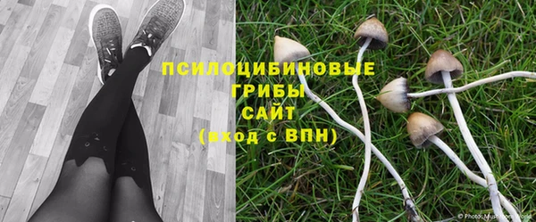 соль курить ск Михайловск